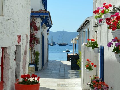 Bodrum Site
